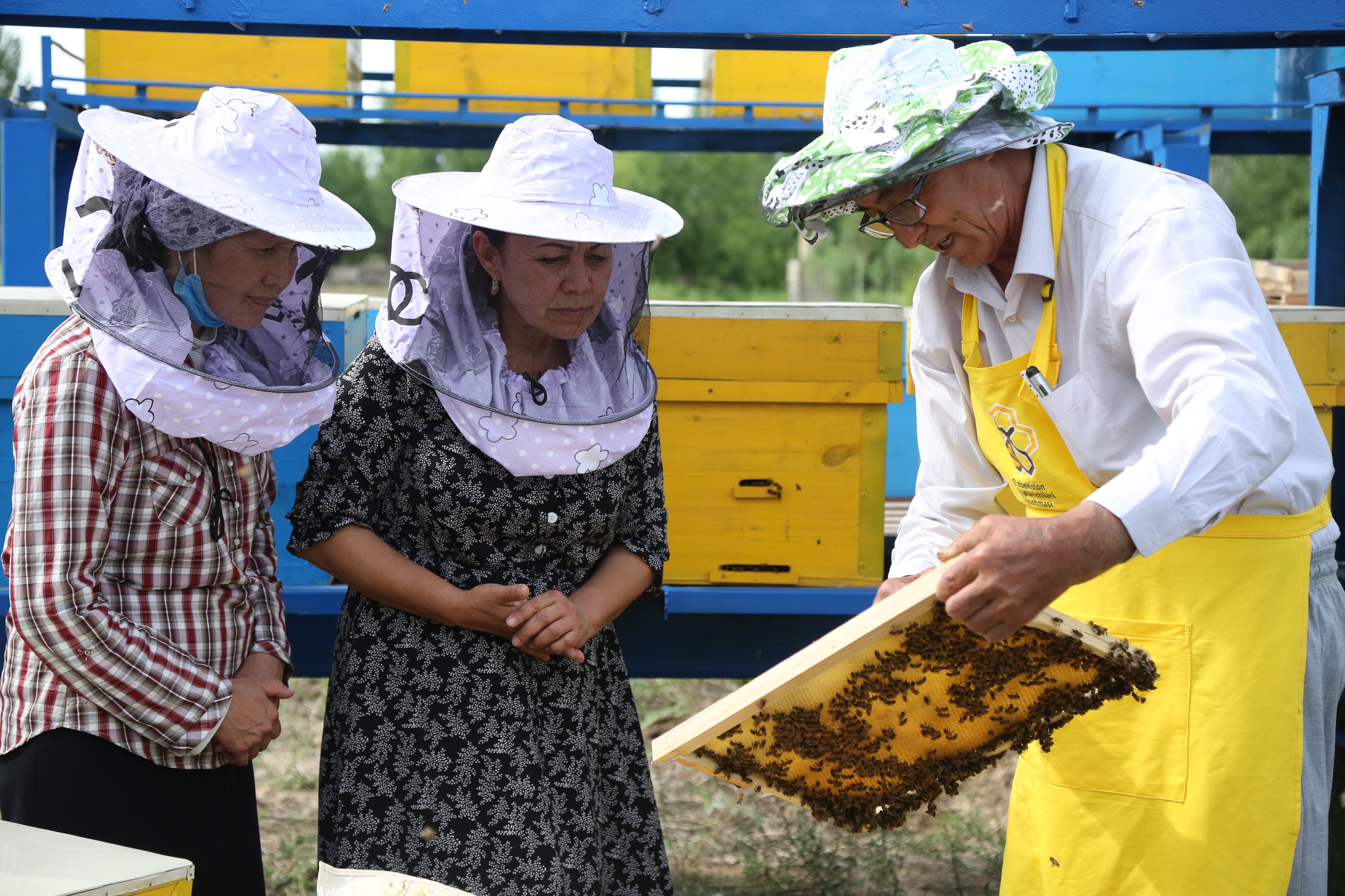 Learn About Beekeeping — Attend the 2023 Bee School