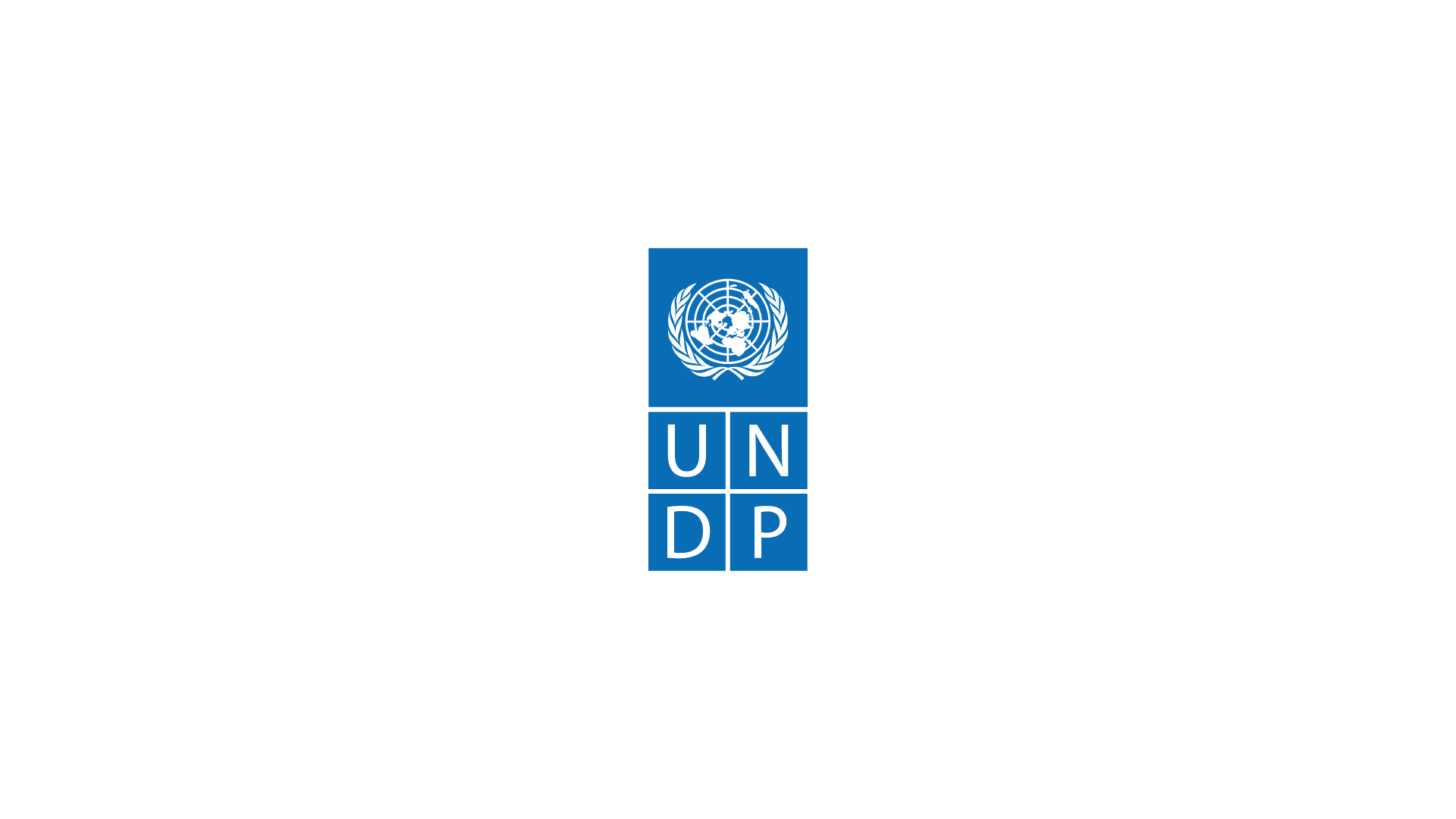 united nations development program
