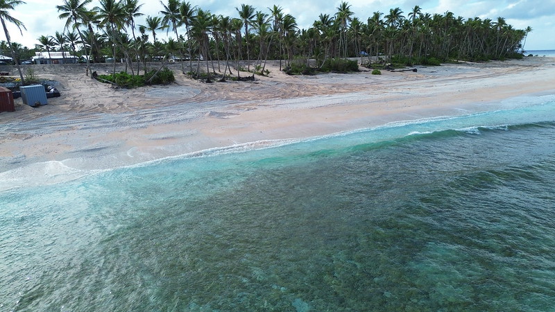 Atoll coastline with palm trees