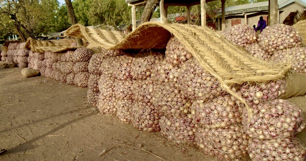 a close up of food