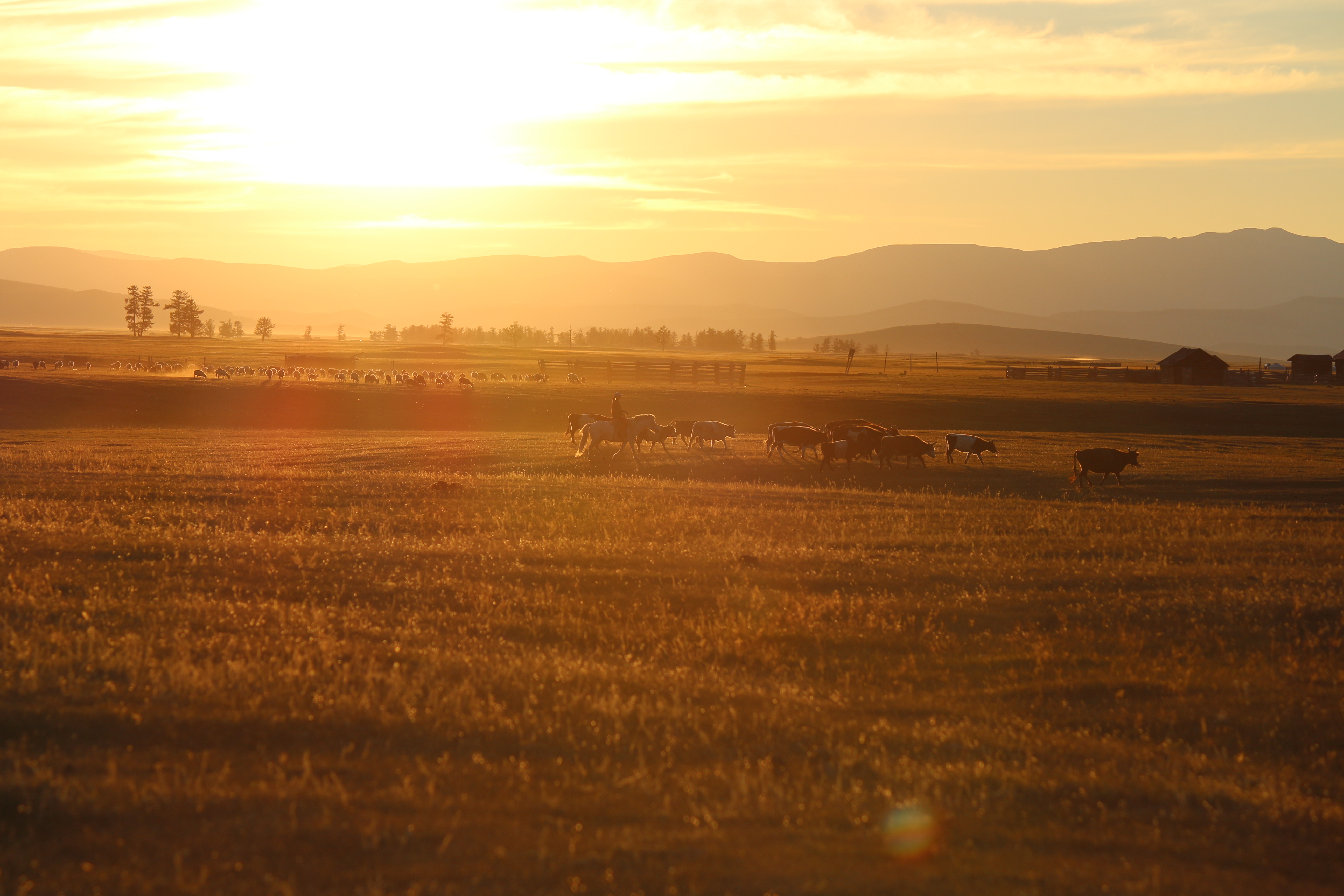 a sunset over a dry grass field