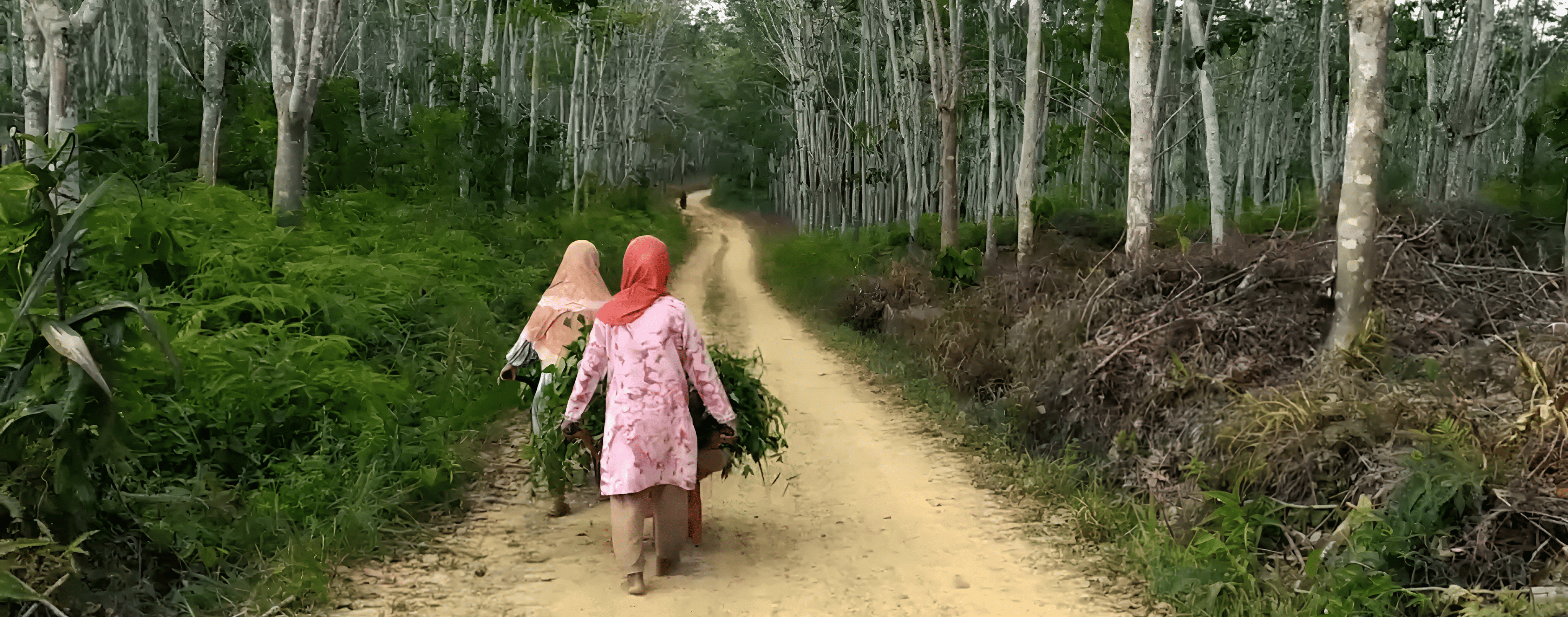 a person walking down a dirt path next to a tree