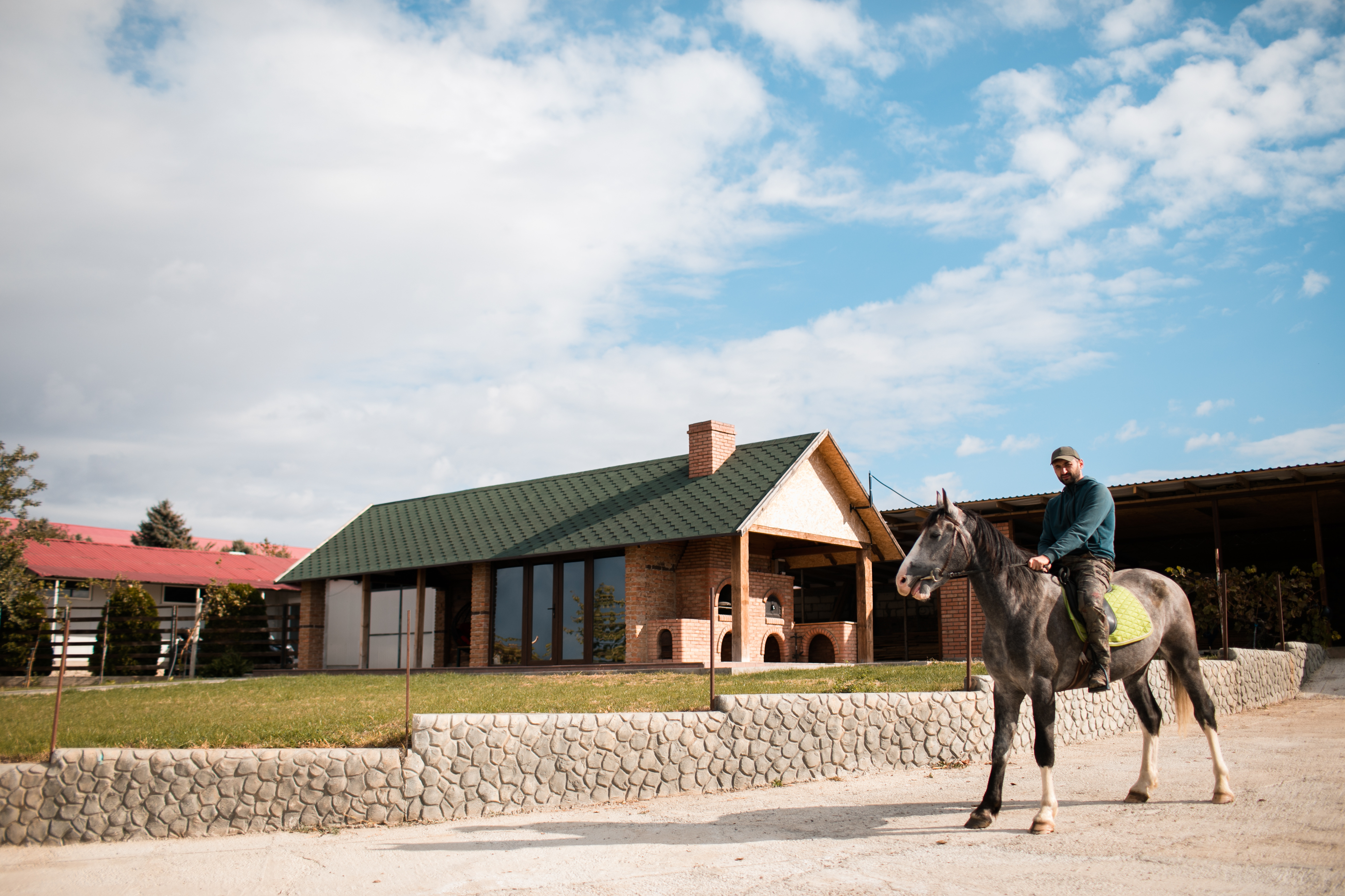 a horse standing in front of a house