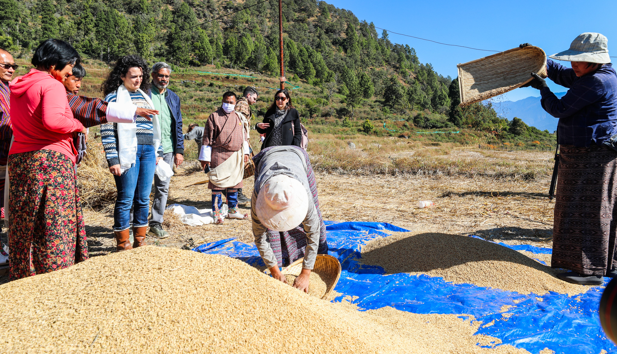 GCF ED visits Phangyul 