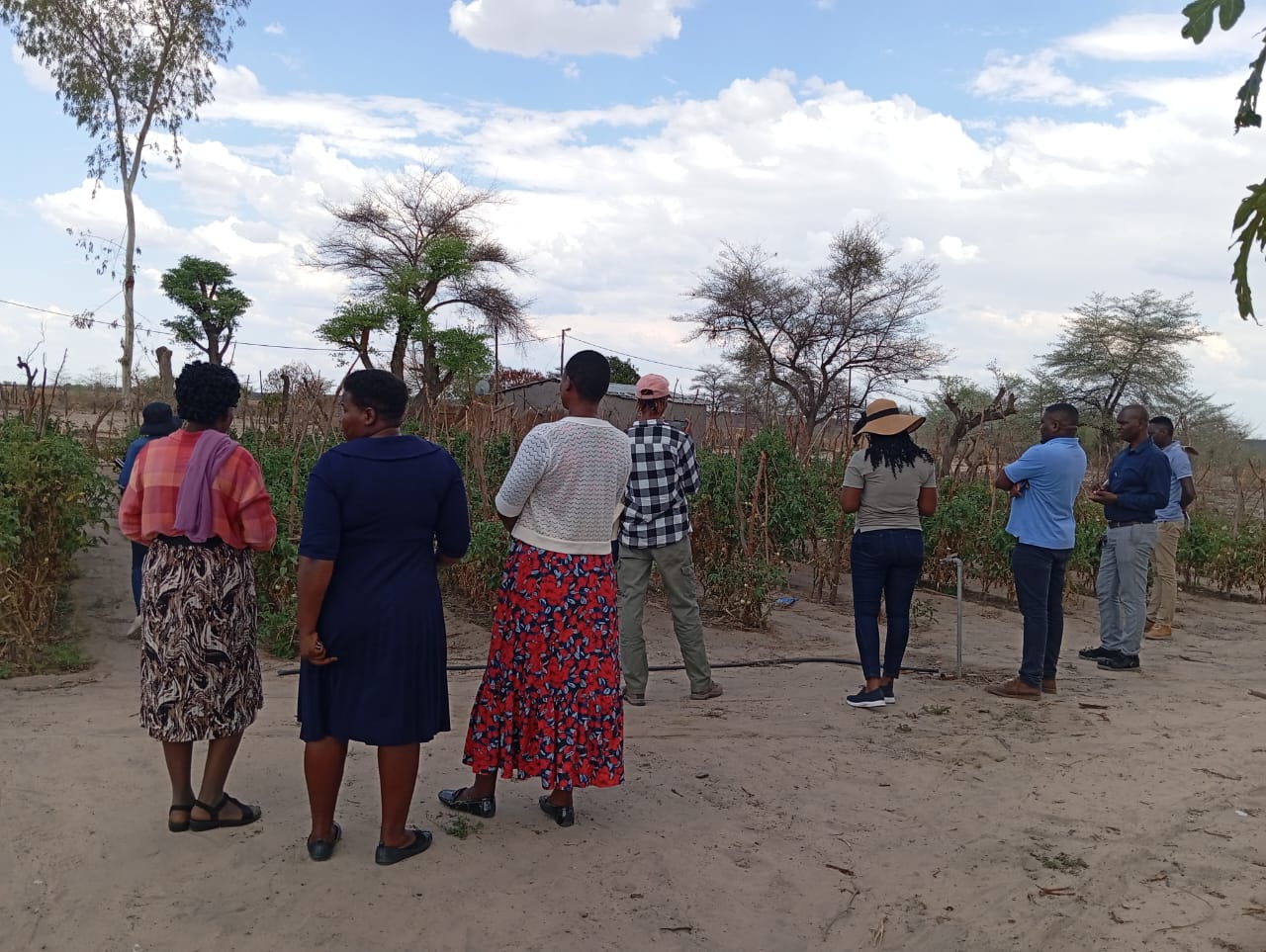 a group of people standing next to a tree