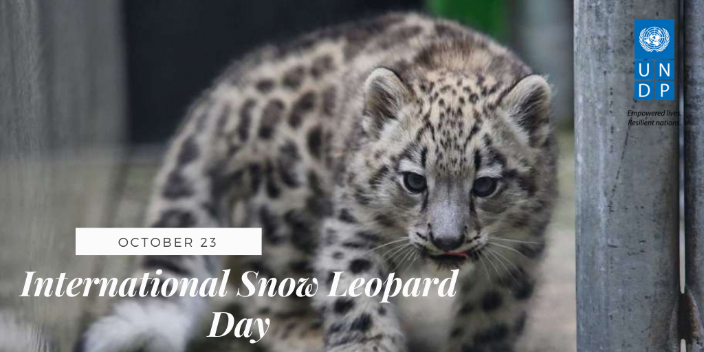 October 23 International Snow Leopard Day! United Nations