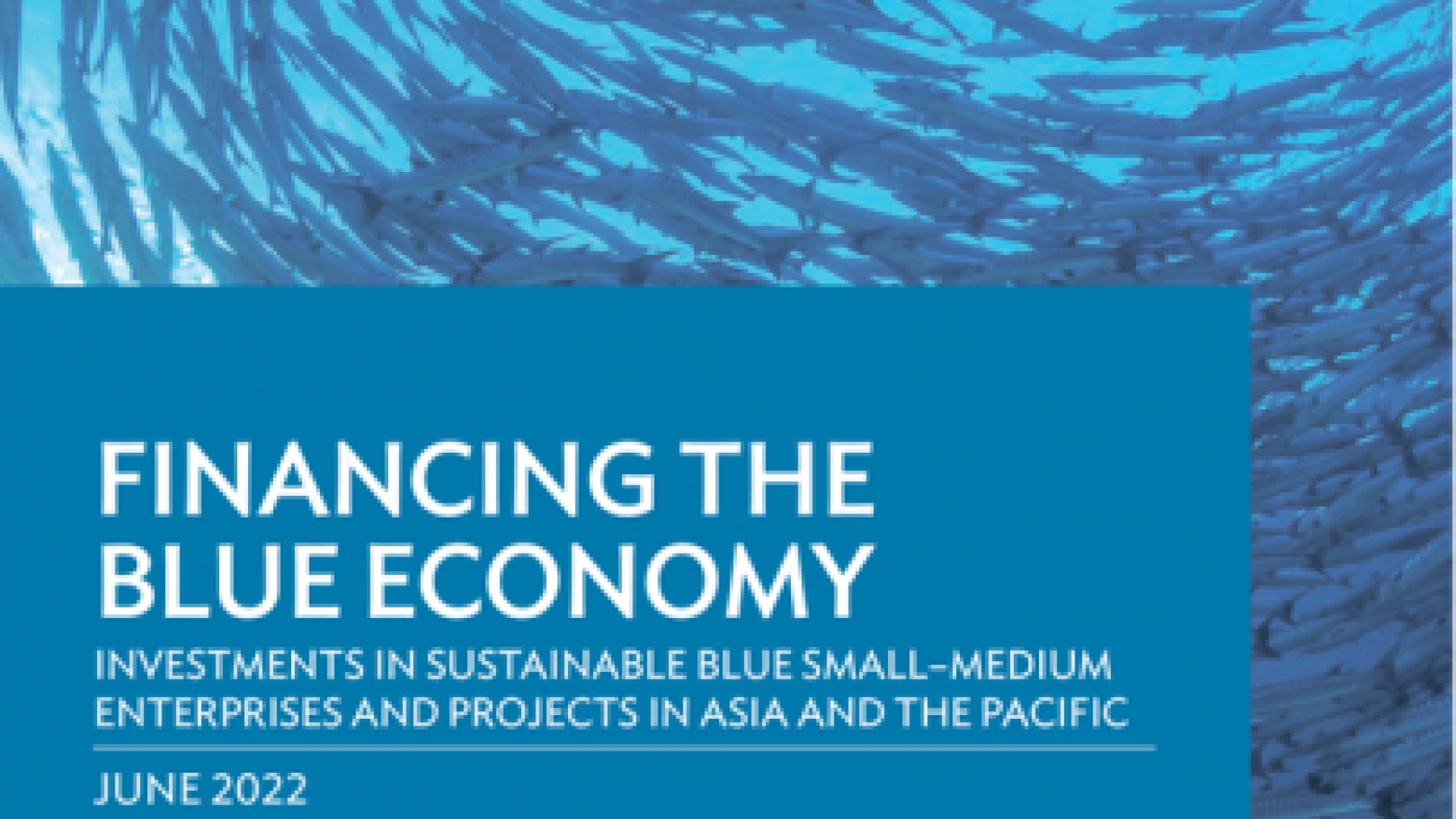 Financing The Blue Economy: Investments In Sustainable Blue Small ...