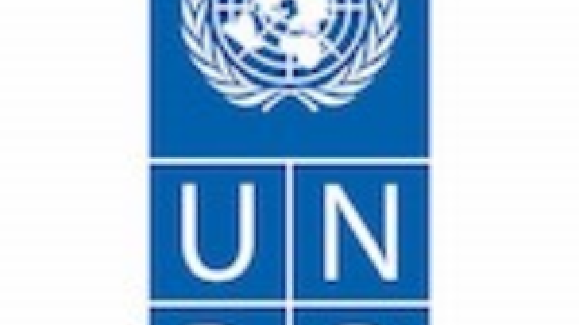 UNDP holds the Third Eastern Europe and Central Asia Regional Judges ...