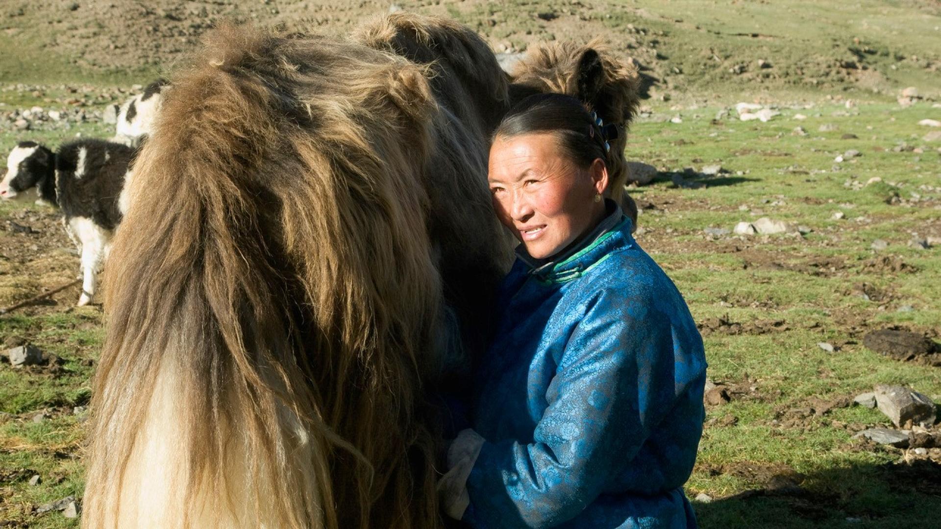 Mongolia Receives New 23 1 Million GCF Grant To Strengthen Climate   Mongolia 