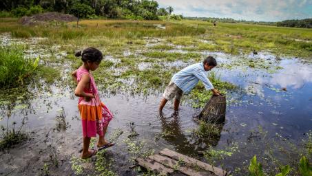 UNDP-Brazil_mangrove_kids_55.jpg