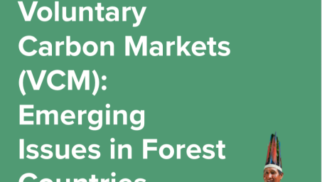 UNDP-High-Integrity-Voluntary-Carbon-Markets-Emerging-Issues-in-Forest-Countries-COVER2.png
