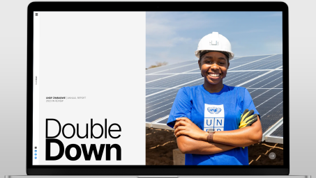 Website screenshot of the 2023 UNDP Zimbabwe interactive annual report