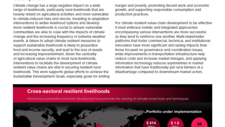 UNDP-Issue-Brief-Resilient-Livelihoods-Value-Chains-COVER.PNG