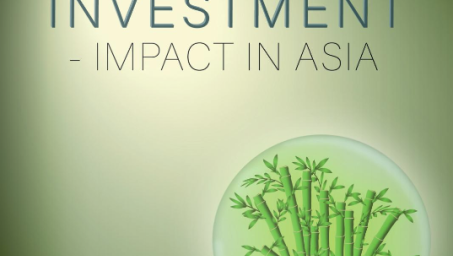 UNDP-RBAP-Sustainable-Investment-Impact-in-Asia-2020-cover.PNG