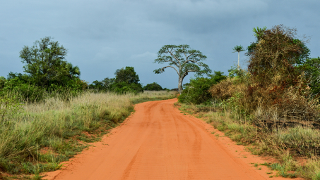 undp_ao_Dirtroad_ Quicama_National Park in Angola.png