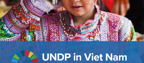 Viet Nam - UNDP: 45 Years of Partnership for Sustainable Development