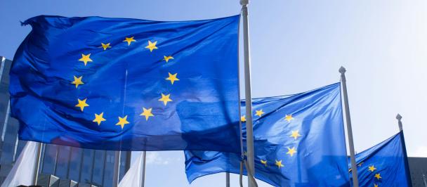 A row of EU flags against a skyline with blue skies
