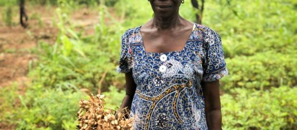 Fighting land degradation in Ghana through ecological farming. Photo: SGP Ghana