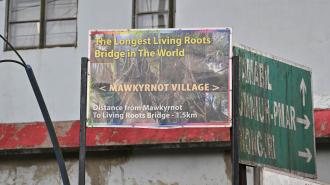 Longest living root bridge in the world