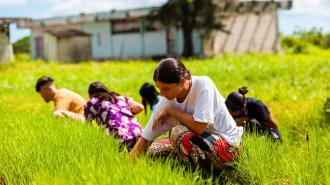 Estudiantes de la enseñanza técnica profesional durante una clase práctica de agropecuaria