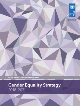 Gender Equality Strategy | Nations Programme