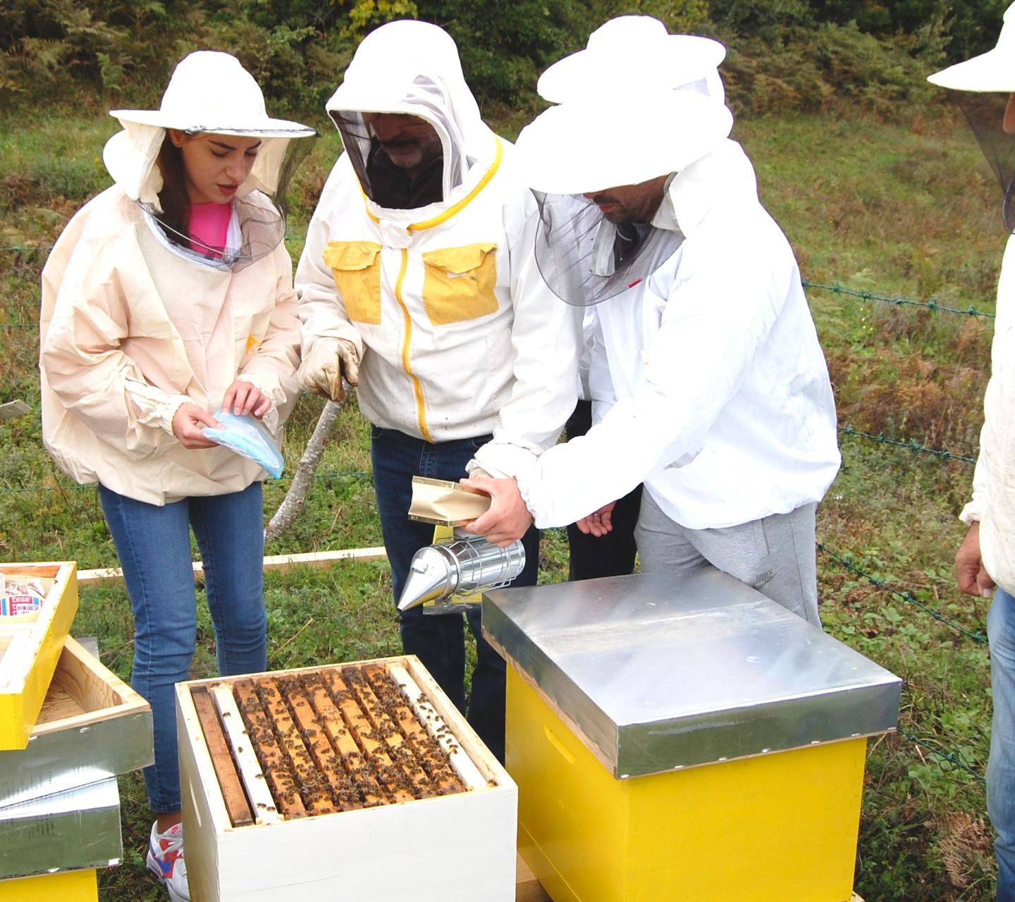Life as a New Bee - Stratford and District Beekeepers Association