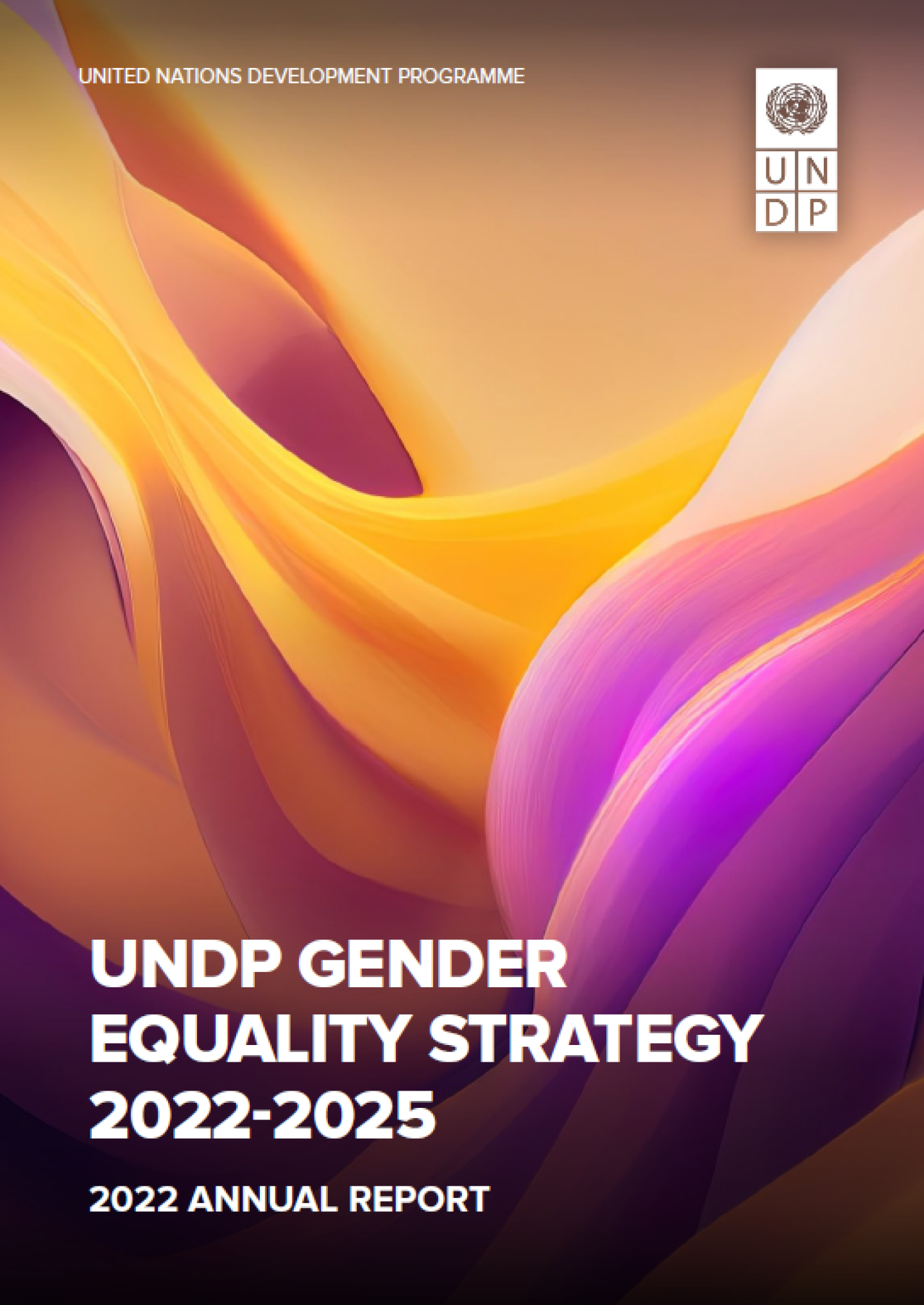 Undp Gender Equality Strategy 2022 2025 2022 Annual Report United Nations Development Programme
