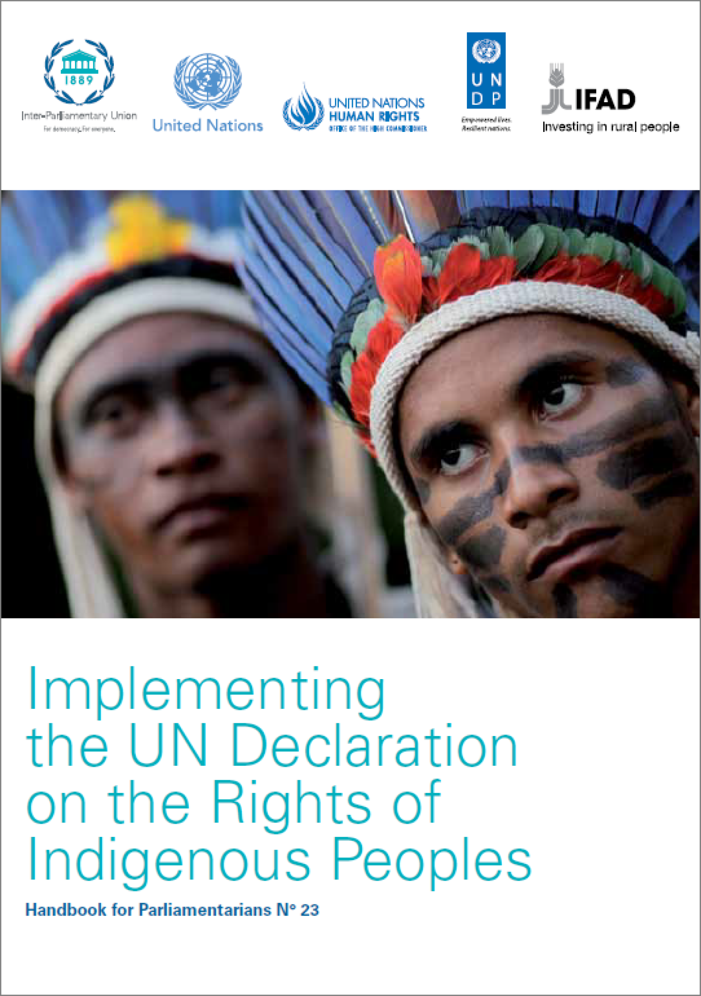 Implementing The UN Declaration On The Rights Of Indigenous Peoples ...