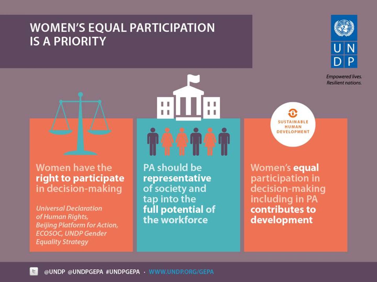 Project Brief - Gender Equality in Public Administration (GEPA ...