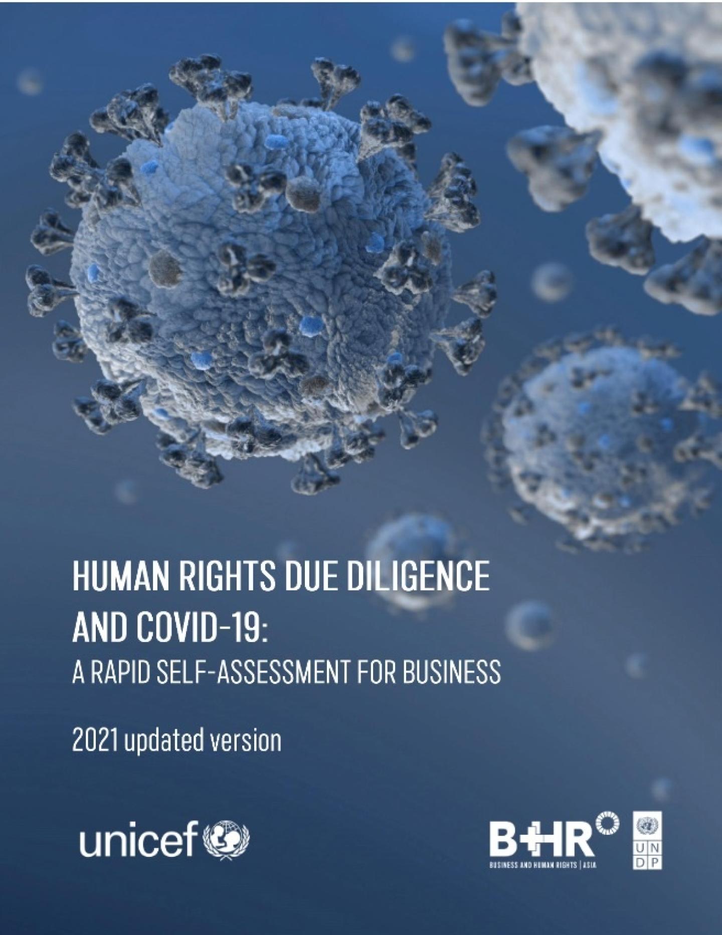 https://www.undp.org/sites/g/files/zskgke326/files/styles/scaled_image_large/public/publications/UNDP-RBAP-2020-Human-Rights-Due-Diligence-and-COVID-19-Update-2021-cover.jpg?itok=tHUhsh1y